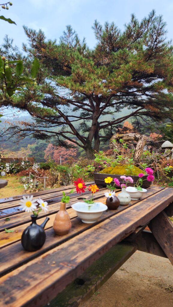 KakaoTalk_20250524_092308329_04